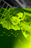 Profilbild von Michis Photo Kueche